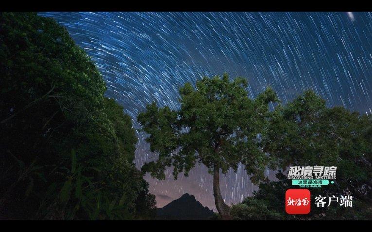 88影视